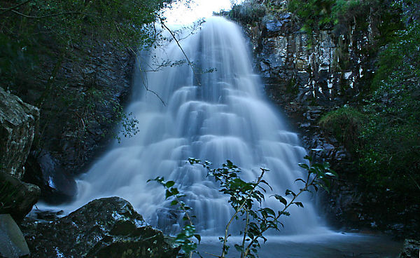 Hogsback